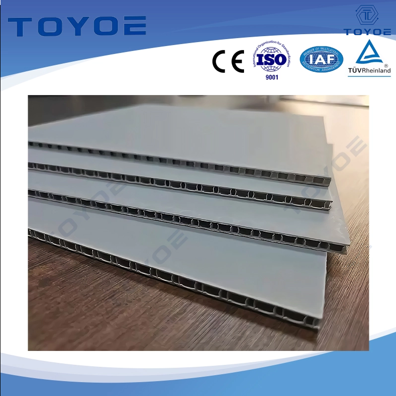 TOYOE Tablero alveolar de PP: material de embalaje liviano para autopartes (3-20 mm)