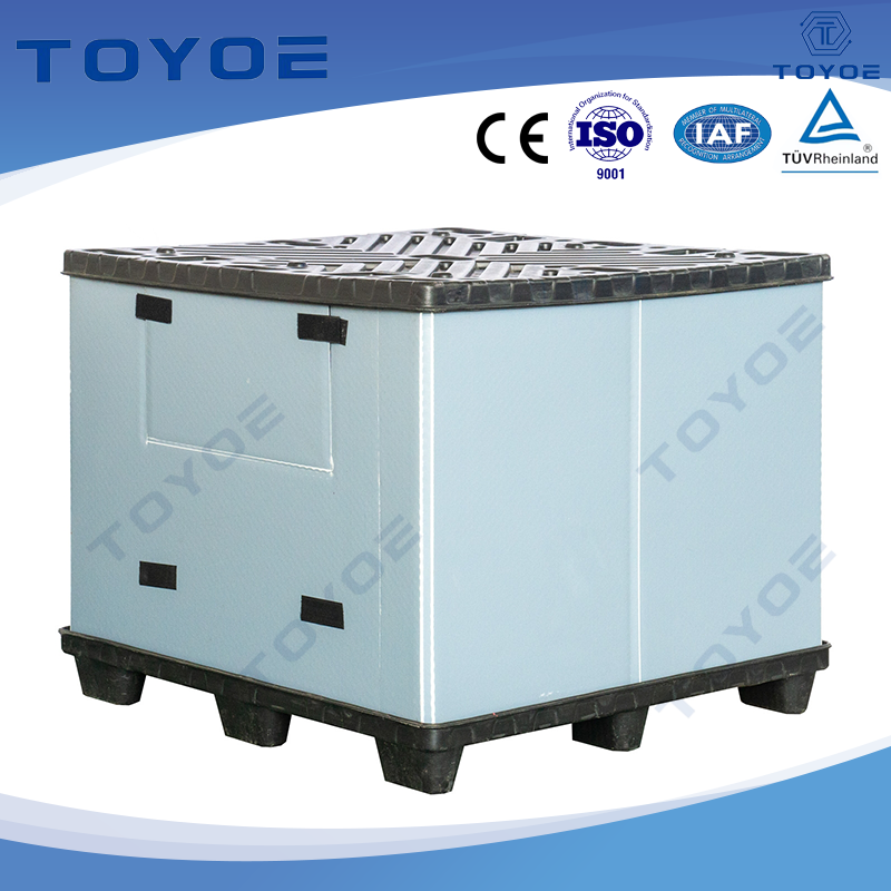 Serie de Ecosmart de caja reciclable con logotipo personalizable